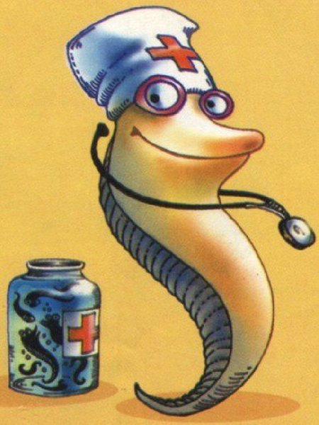 Пиявки смешные