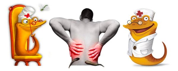 Гирудотерапия картинки для рекламы