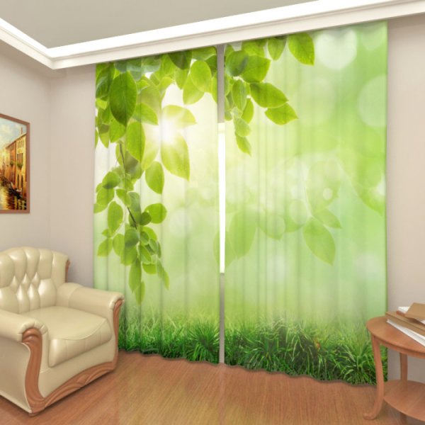 Арт Паула фотошторы