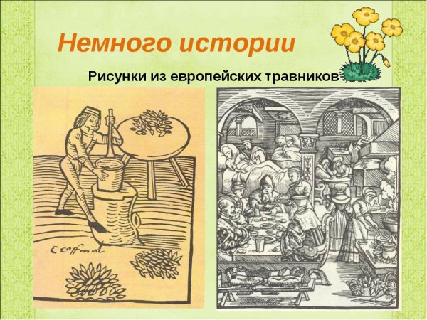 История рисования