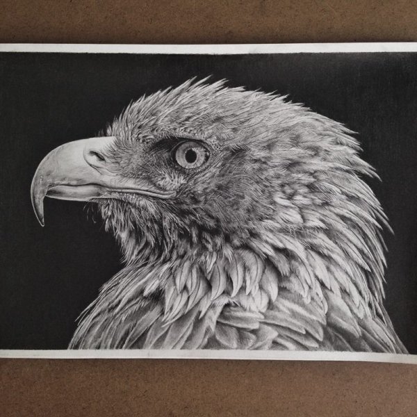 Гипер рисунки карандашом