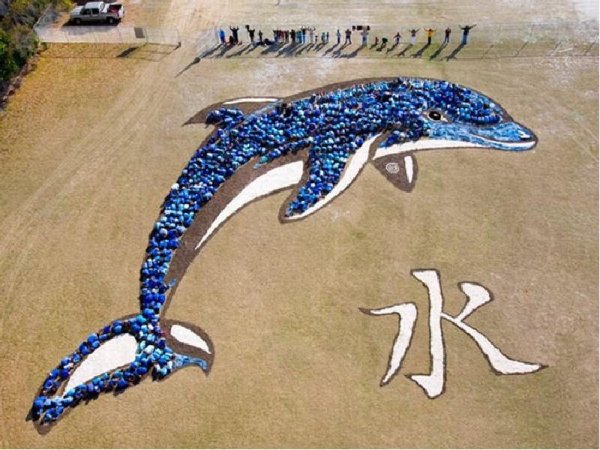 Дельфин из отходов