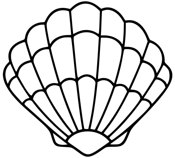 Ракушка раскраска для детей