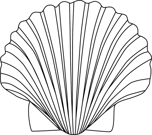 Ракушка раскраска