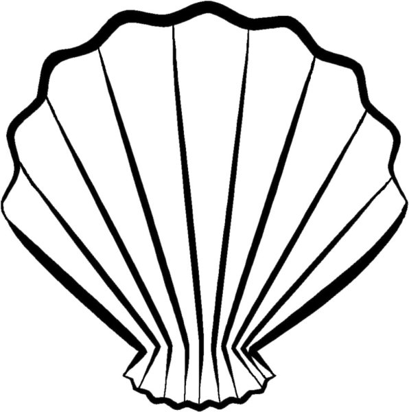 Ракушка раскраска