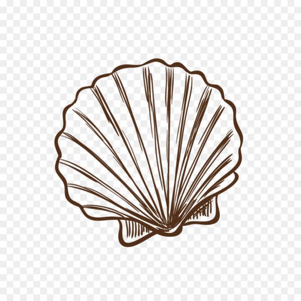 Рисование на ракушках