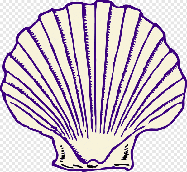 Ракушка для детей