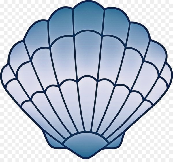 Морские раковины мультяшные