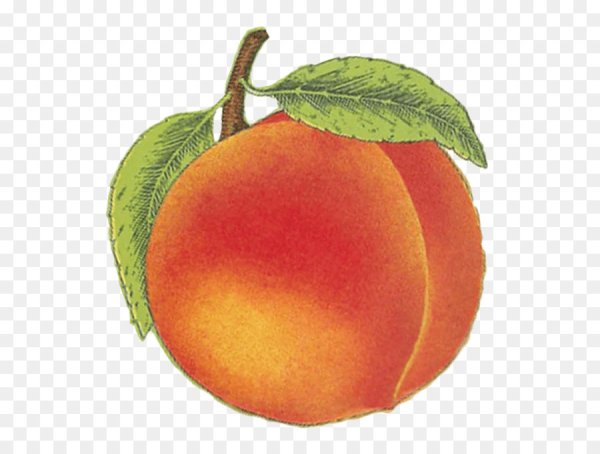 Персик для детей