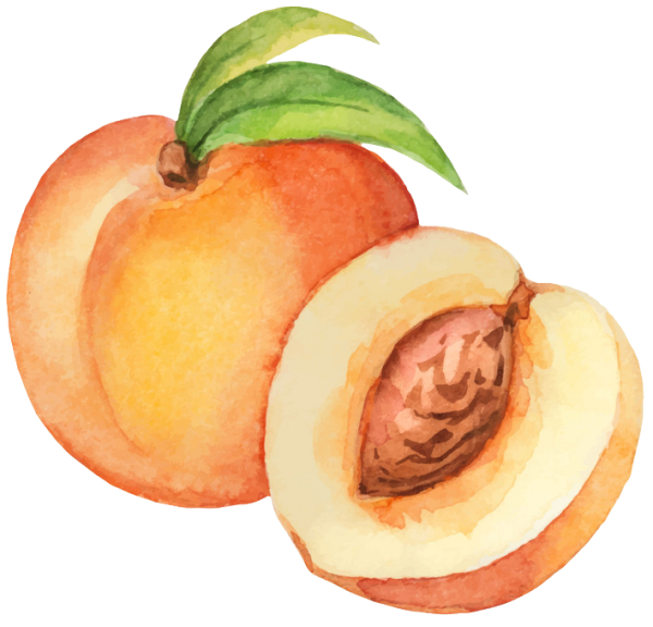 Персик нарисованный