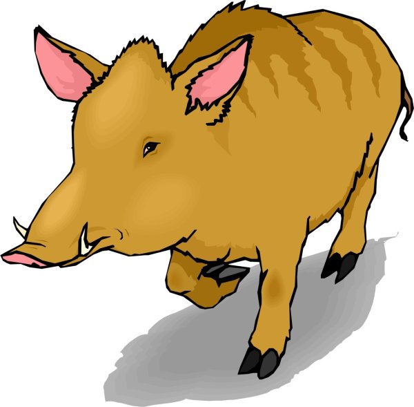 Кабаны мультяшные