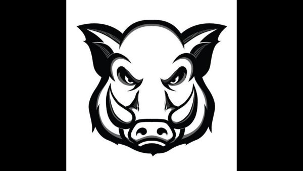 Кабан раскраска для детей