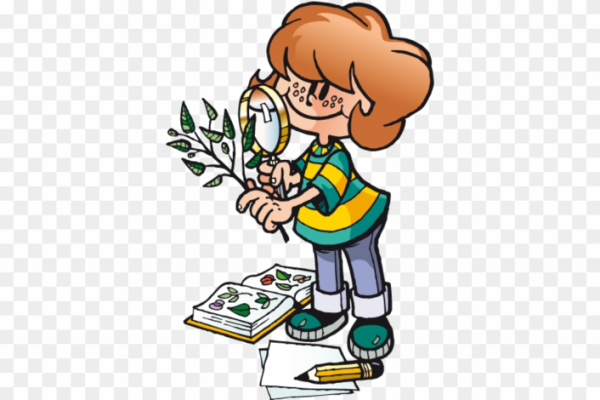 Дети экологи