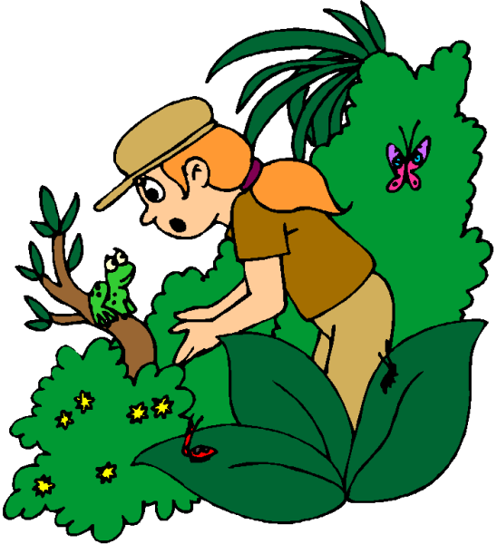 Экология для дошкольников