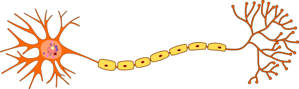 Нейрон на прозрачном фоне