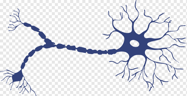 Нейрон без фона