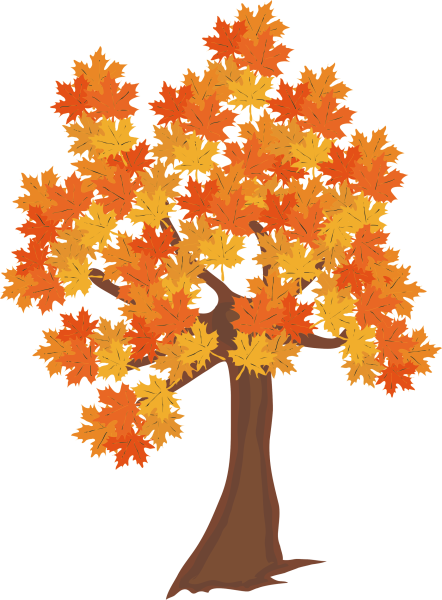 Осеннее дерево клен