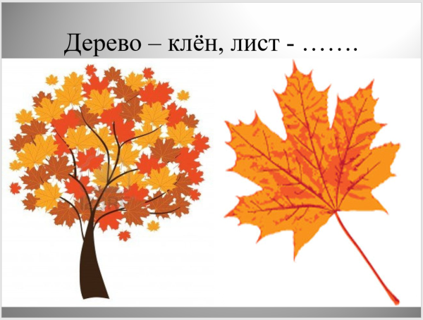 Презентация деревья осенью для дошкольников