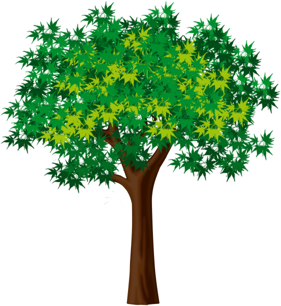 Летнее дерево для дошкольников