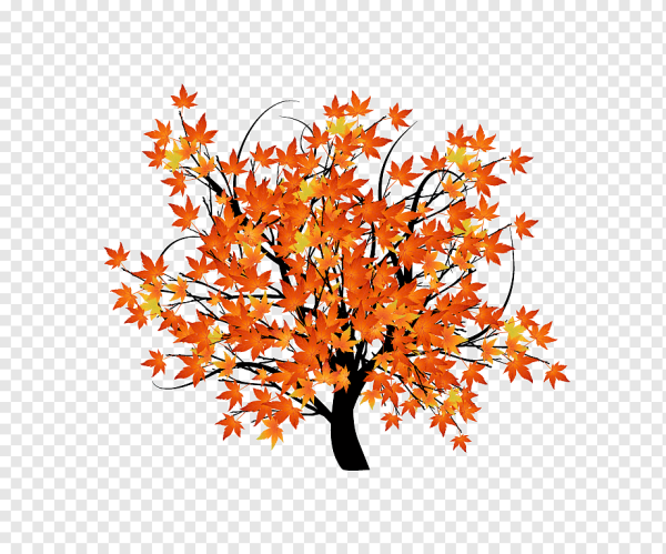 Нарисовать клён дерево