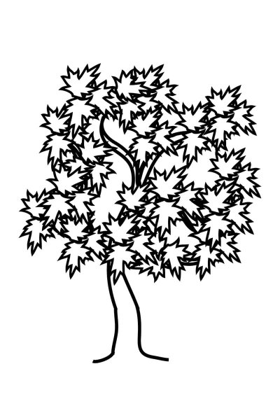 Клён для срисовки дерево