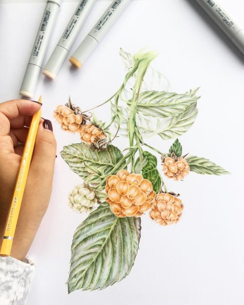 Пейзажи для рисования маркерами