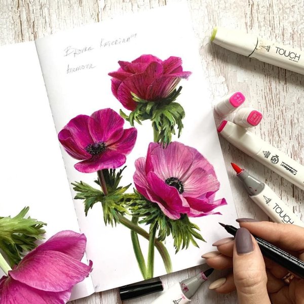 Быстрые эскизы