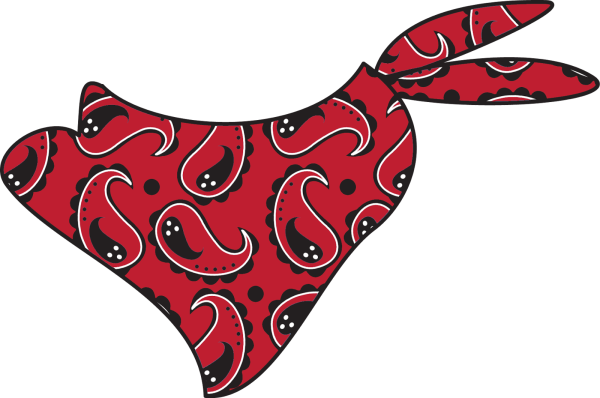 Ковбойский платок на прозрачном фоне