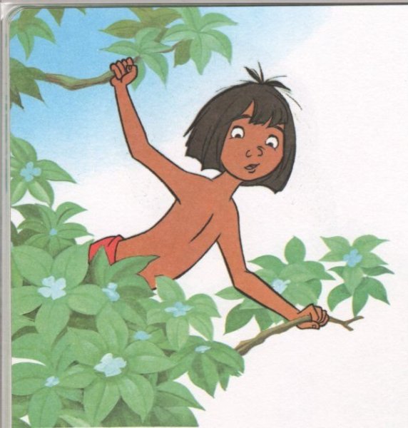 Иллюстрация к сказке Маугли