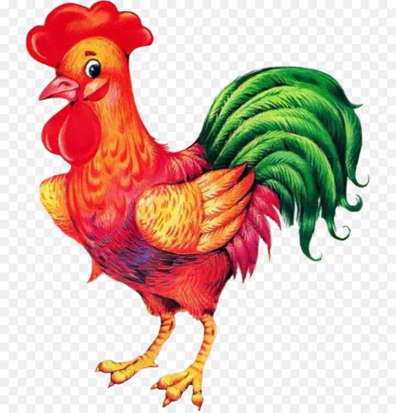 Петух для детей