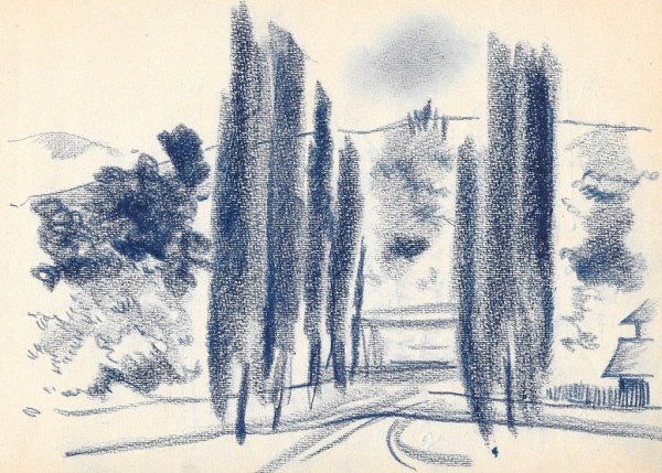 Кипарисы Графика