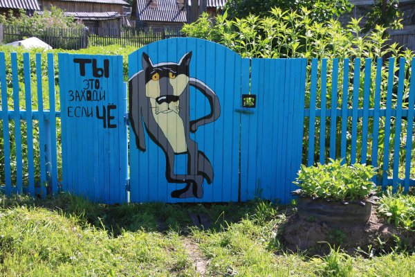 Аэрография на гаражных воротах