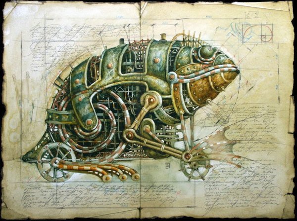 Paride Bertolin иллюстрации