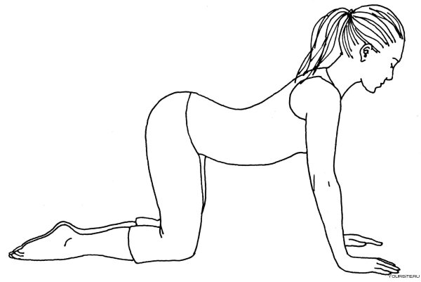 Упражнение поза кошки