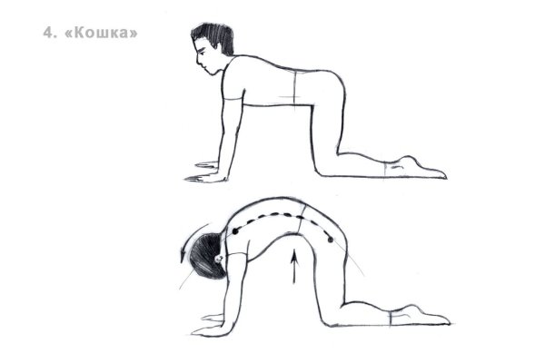 Упражнение выгибание спины