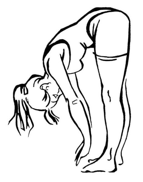 Наклоны вперед из положения стоя