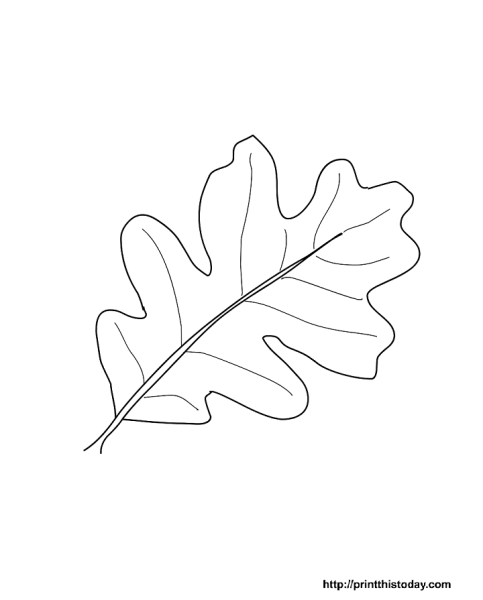 Дубовый лист трафарет