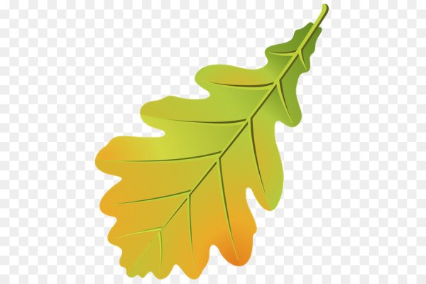 Дубовые листочки