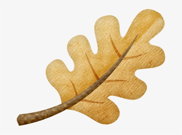 Дубовый листик