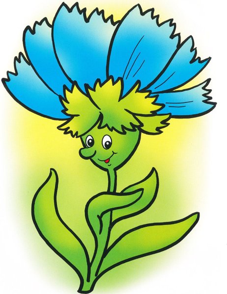 Вася Василек цветок