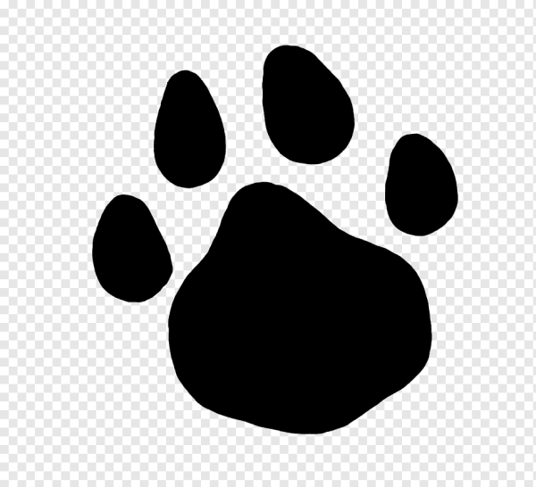 Отпечаток лапы собаки