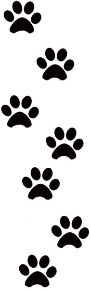 Собачий след