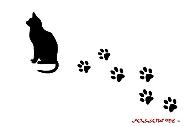 Следы котёнка рисование