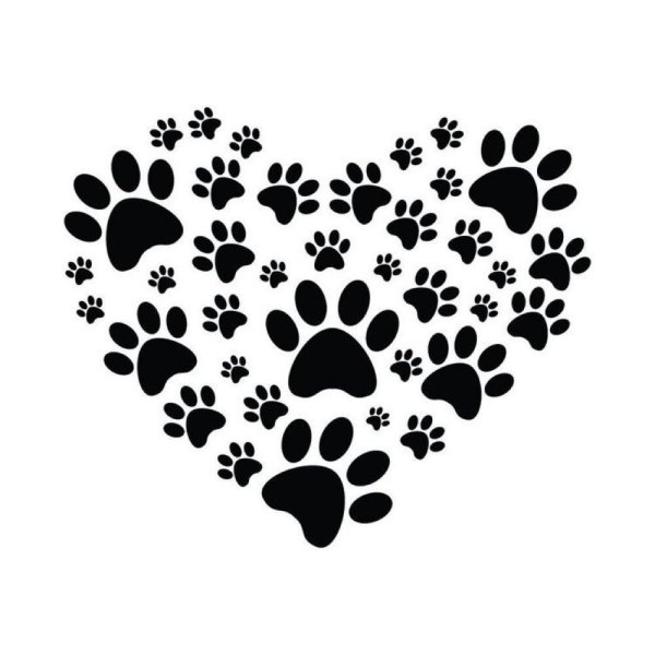 Отпечаток лапы собаки