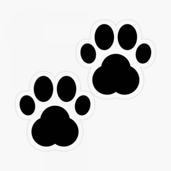 Отпечаток собачьей лапы