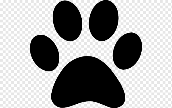 Лапка силуэт