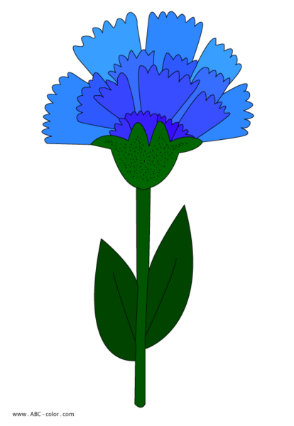 Василек для детей