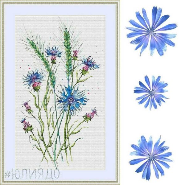 Вышивные цветы Василек