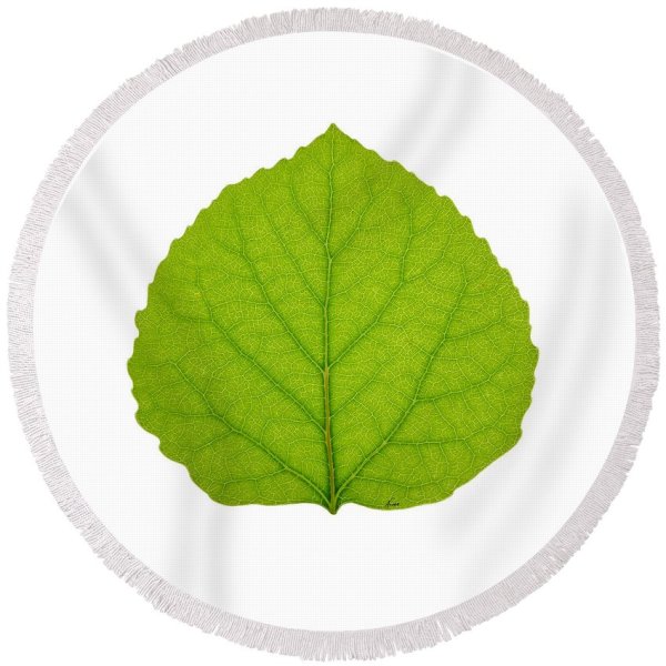 Листья осины, листья осины.