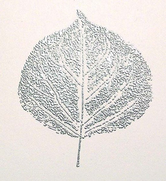 Лист осины шаблон